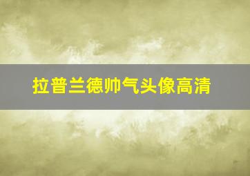 拉普兰德帅气头像高清