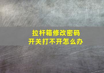 拉杆箱修改密码开关打不开怎么办