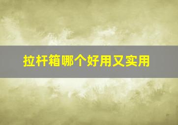 拉杆箱哪个好用又实用