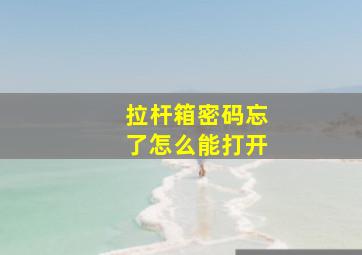 拉杆箱密码忘了怎么能打开