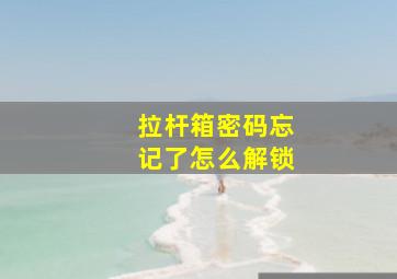 拉杆箱密码忘记了怎么解锁