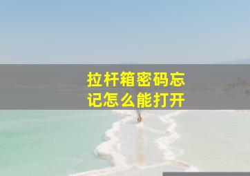 拉杆箱密码忘记怎么能打开