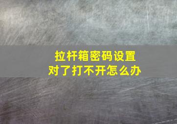 拉杆箱密码设置对了打不开怎么办