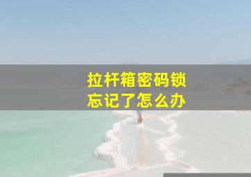 拉杆箱密码锁忘记了怎么办