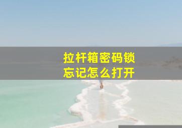 拉杆箱密码锁忘记怎么打开