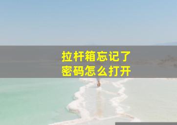 拉杆箱忘记了密码怎么打开