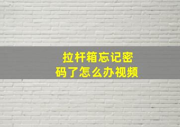 拉杆箱忘记密码了怎么办视频