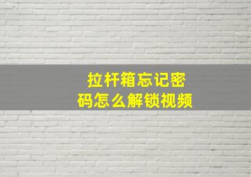 拉杆箱忘记密码怎么解锁视频