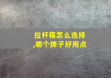 拉杆箱怎么选择,哪个牌子好用点