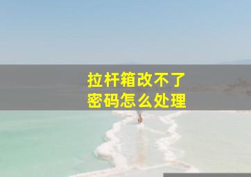 拉杆箱改不了密码怎么处理