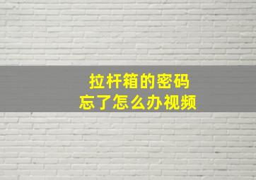 拉杆箱的密码忘了怎么办视频