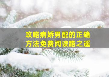 攻略病娇男配的正确方法免费阅读路之遥