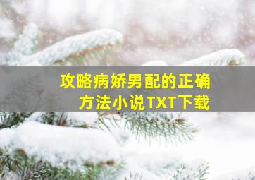 攻略病娇男配的正确方法小说TXT下载