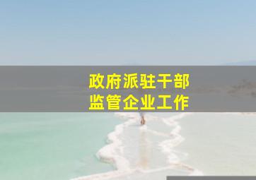 政府派驻干部监管企业工作