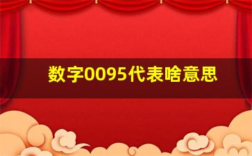 数字0095代表啥意思