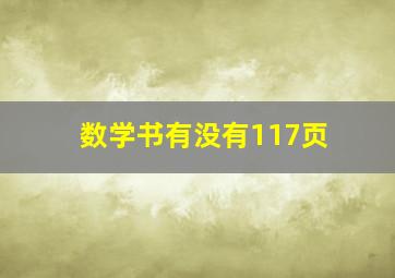 数学书有没有117页