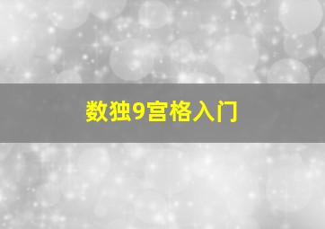 数独9宫格入门