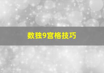 数独9宫格技巧