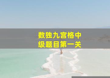 数独九宫格中级题目第一关