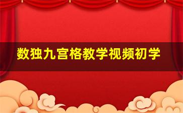 数独九宫格教学视频初学