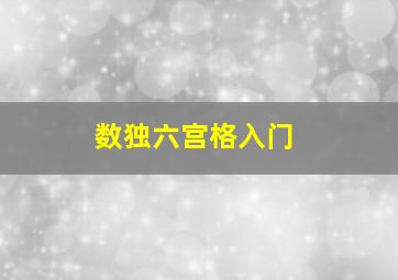 数独六宫格入门