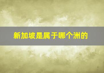 新加坡是属于哪个洲的