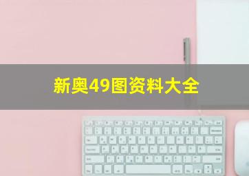 新奥49图资料大全