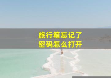 旅行箱忘记了密码怎么打开