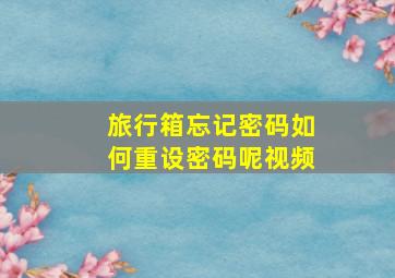 旅行箱忘记密码如何重设密码呢视频