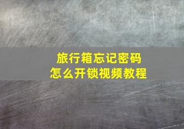 旅行箱忘记密码怎么开锁视频教程