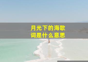 月光下的海歌词是什么意思