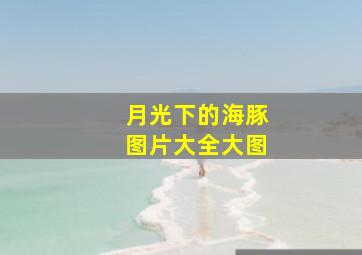 月光下的海豚图片大全大图