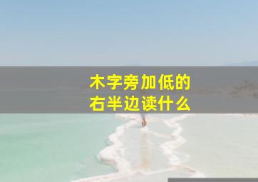 木字旁加低的右半边读什么