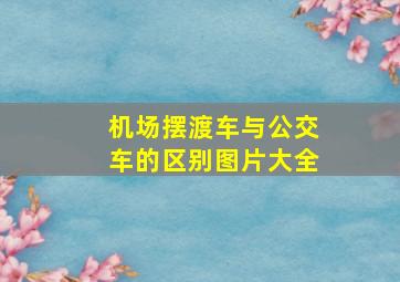 机场摆渡车与公交车的区别图片大全