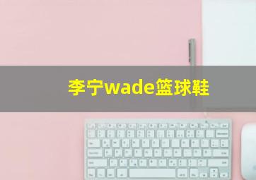 李宁wade篮球鞋