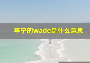 李宁的wade是什么意思