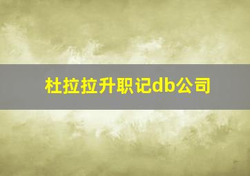 杜拉拉升职记db公司