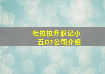 杜拉拉升职记小五DT公司介绍