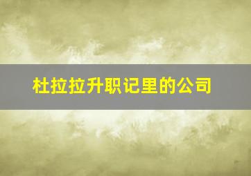 杜拉拉升职记里的公司