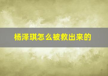 杨泽琪怎么被救出来的