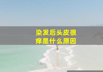 染发后头皮很痒是什么原因