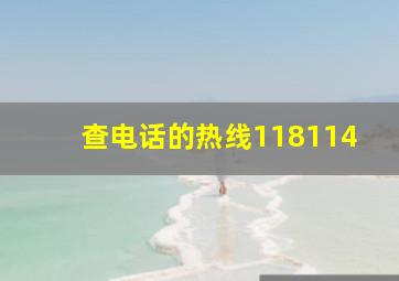 查电话的热线118114