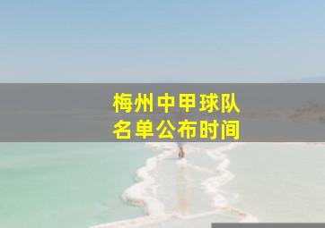 梅州中甲球队名单公布时间