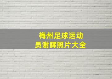 梅州足球运动员谢晖照片大全