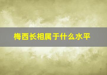 梅西长相属于什么水平