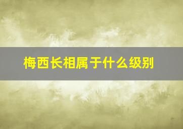 梅西长相属于什么级别