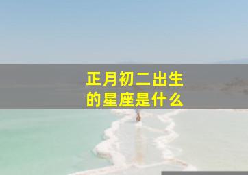 正月初二出生的星座是什么