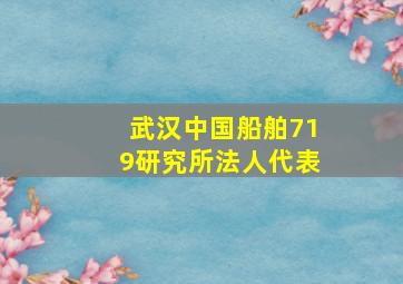 武汉中国船舶719研究所法人代表