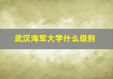 武汉海军大学什么级别