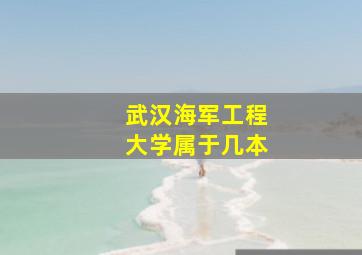 武汉海军工程大学属于几本